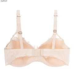Gwyneth Padded wired bra