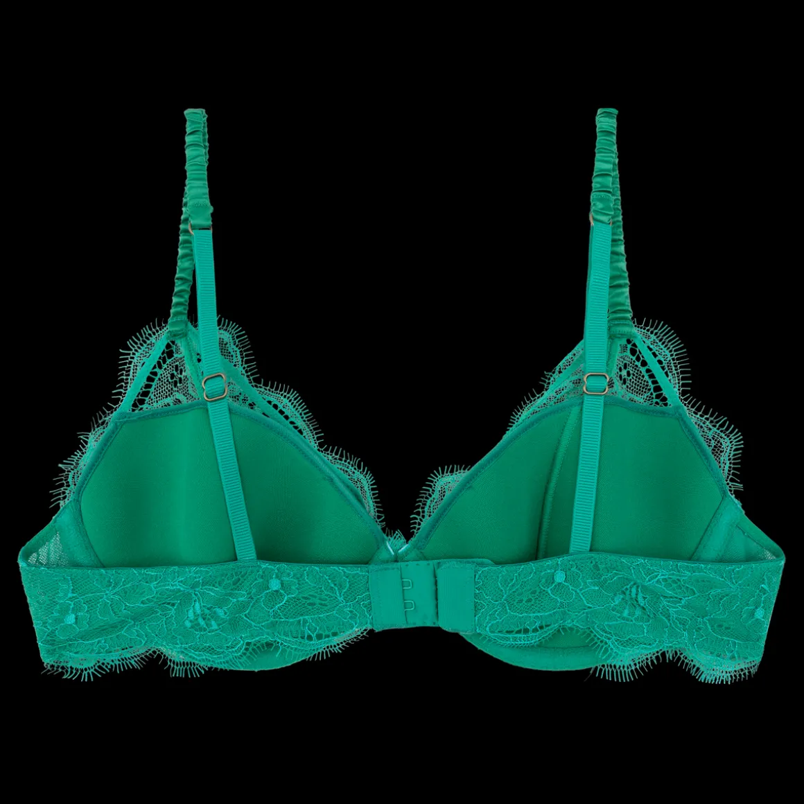 Gwyneth Padded wired bra