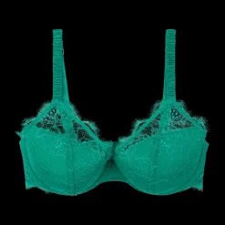 Gwyneth Padded wired bra