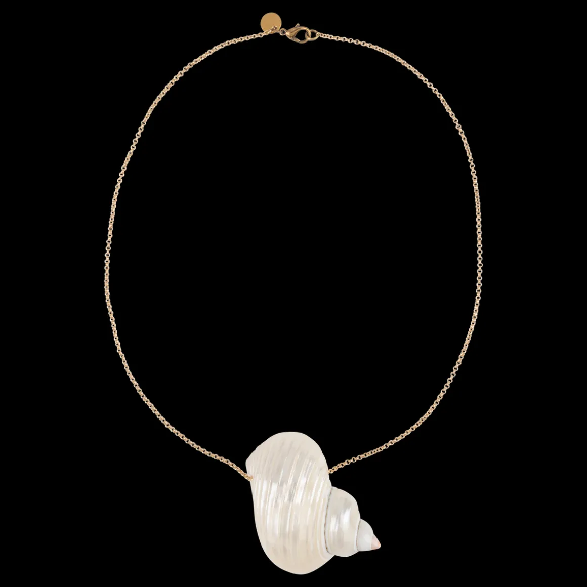 Shell Necklace Shell necklace