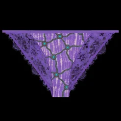 Wild Rose Comfortable lace briefs