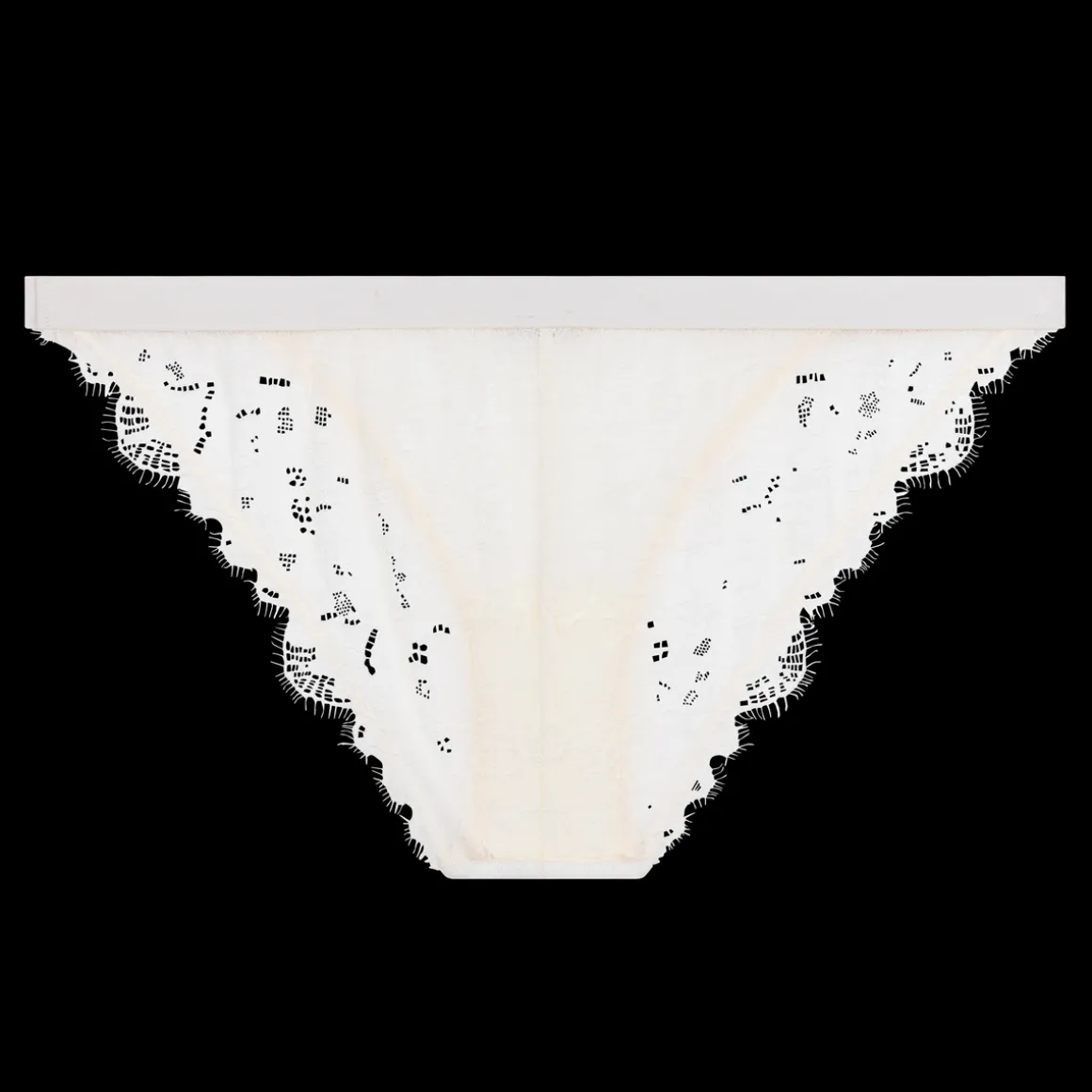 Wild Rose Comfortable lace briefs