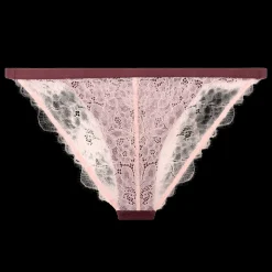 Wild Rose Comfortable lace briefs